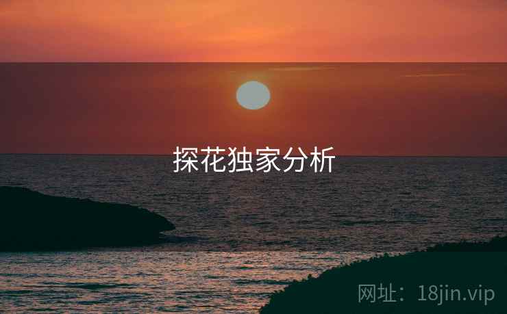 探花独家分析