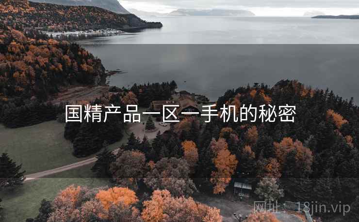 国精产品一区一手机的秘密